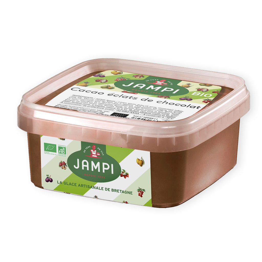 CACAO ÉCLATS DE CHOCOLAT 550ML BIO
