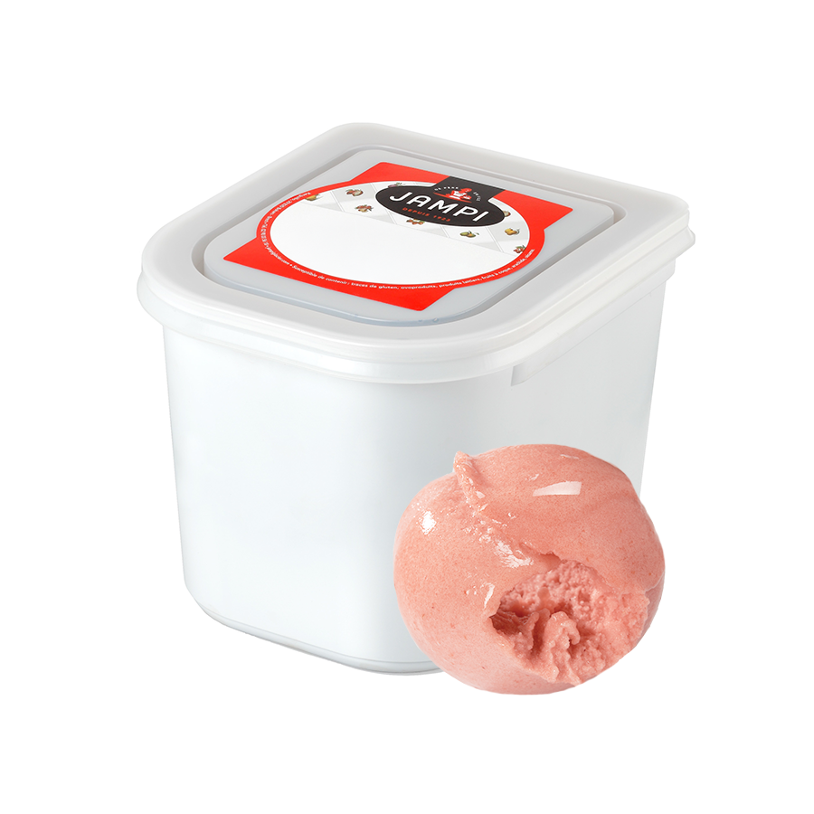 LITCHI FRAMBOISE PÉTALE DE ROSE 2,5L