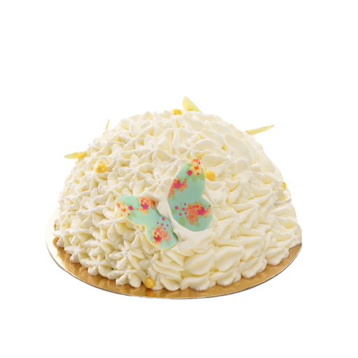 [2202] DÔME CHAMPÊTRE 8P