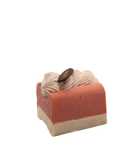 [520025] BÛCHETTE PLOUGASTEL X2 2025