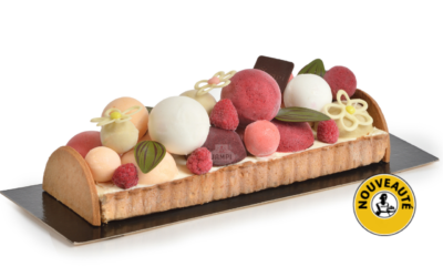 Tarte glacée aux fruits